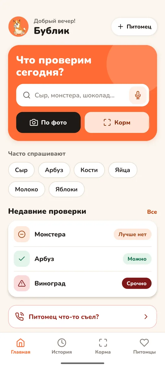 Главный экран с поиском, частыми вопросами и историей проверок