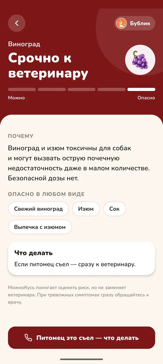 Экран вердикта: виноград для собаки — срочно к ветеринару